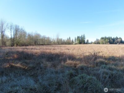 0 XXX Larson Road , Mossyrock, WA 98564 - Photo 18