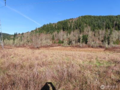 0 XXX Larson Road , Mossyrock, WA 98564 - Photo 19