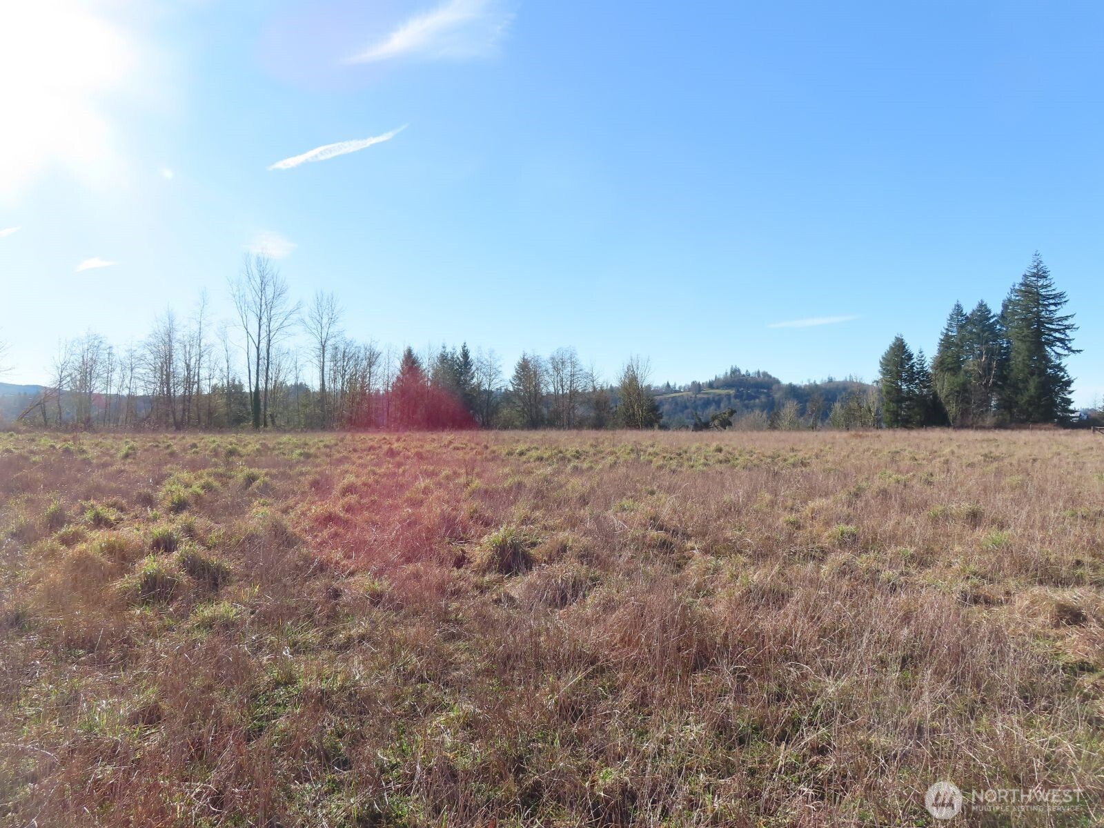 0 XXX Larson Road , Mossyrock, WA 98564