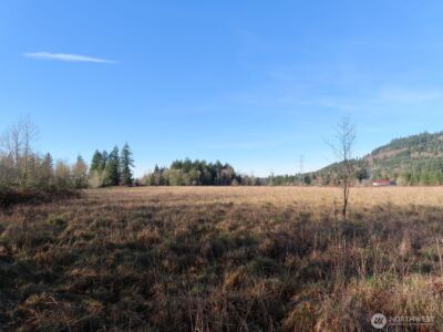 0 XXX Larson Road , Mossyrock, WA 98564 - Photo 2
