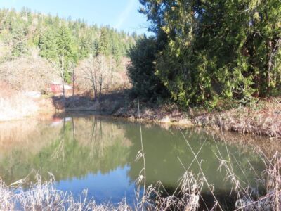 0 XXX Larson Road , Mossyrock, WA 98564 - Photo 21