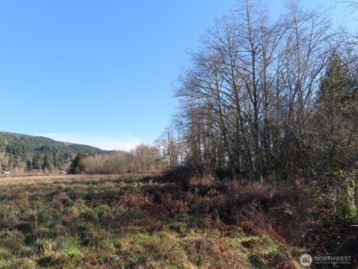 0 XXX Larson Road , Mossyrock, WA 98564 - Photo 24