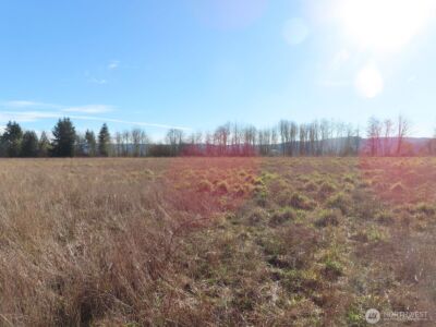 0 XXX Larson Road , Mossyrock, WA 98564 - Photo 28