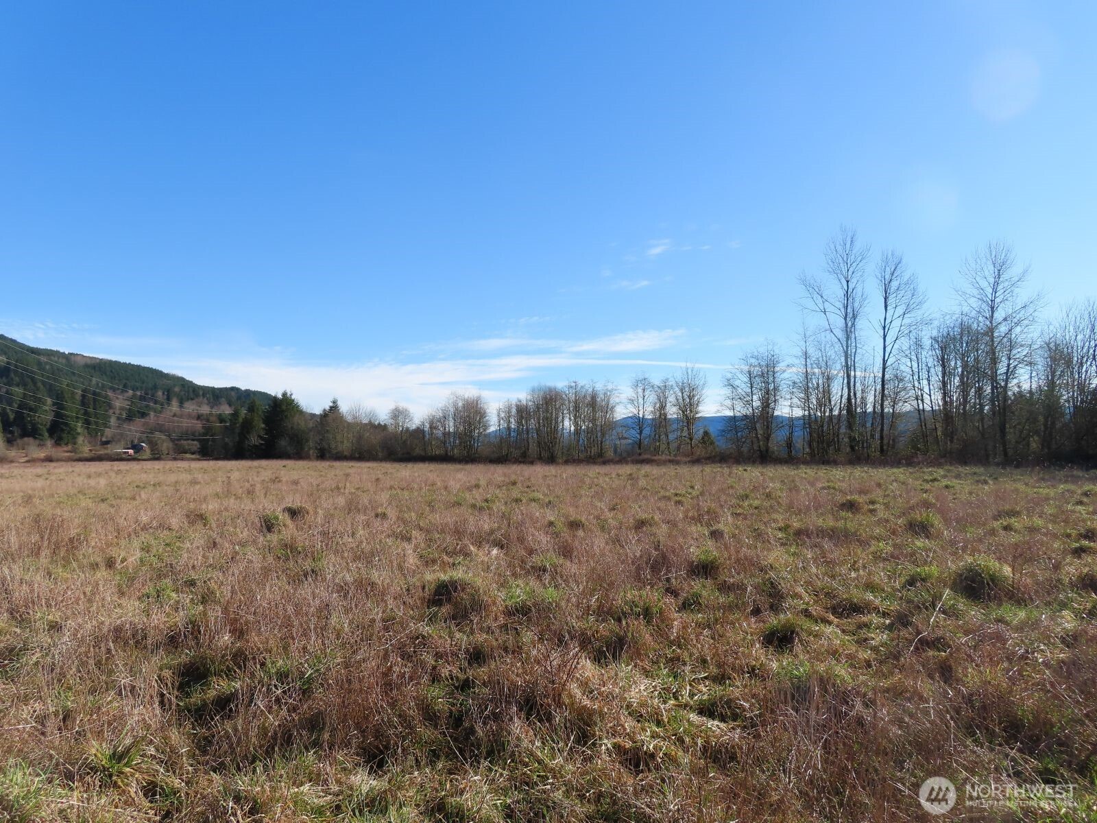 0 XXX Larson Road , Mossyrock, WA 98564