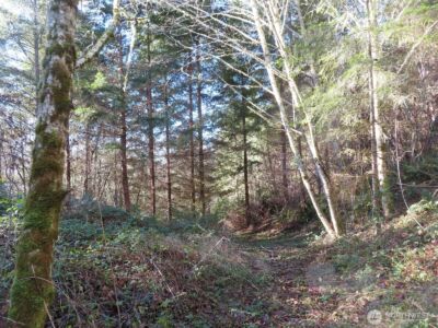 0 XXX Larson Road , Mossyrock, WA 98564 - Photo 10