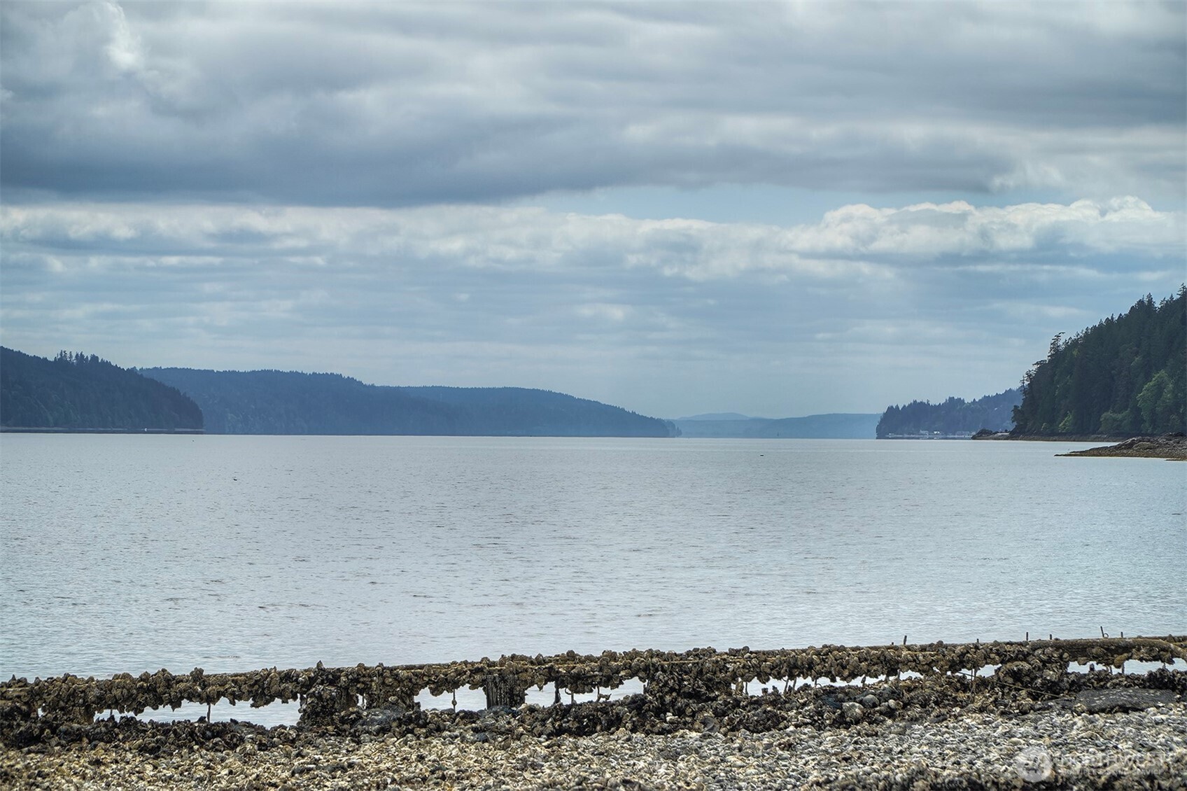 40590 N US Hwy 101 , Lilliwaup, WA 98555