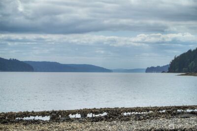 40590 N US Hwy 101 , Lilliwaup, WA 98555 - Photo 37