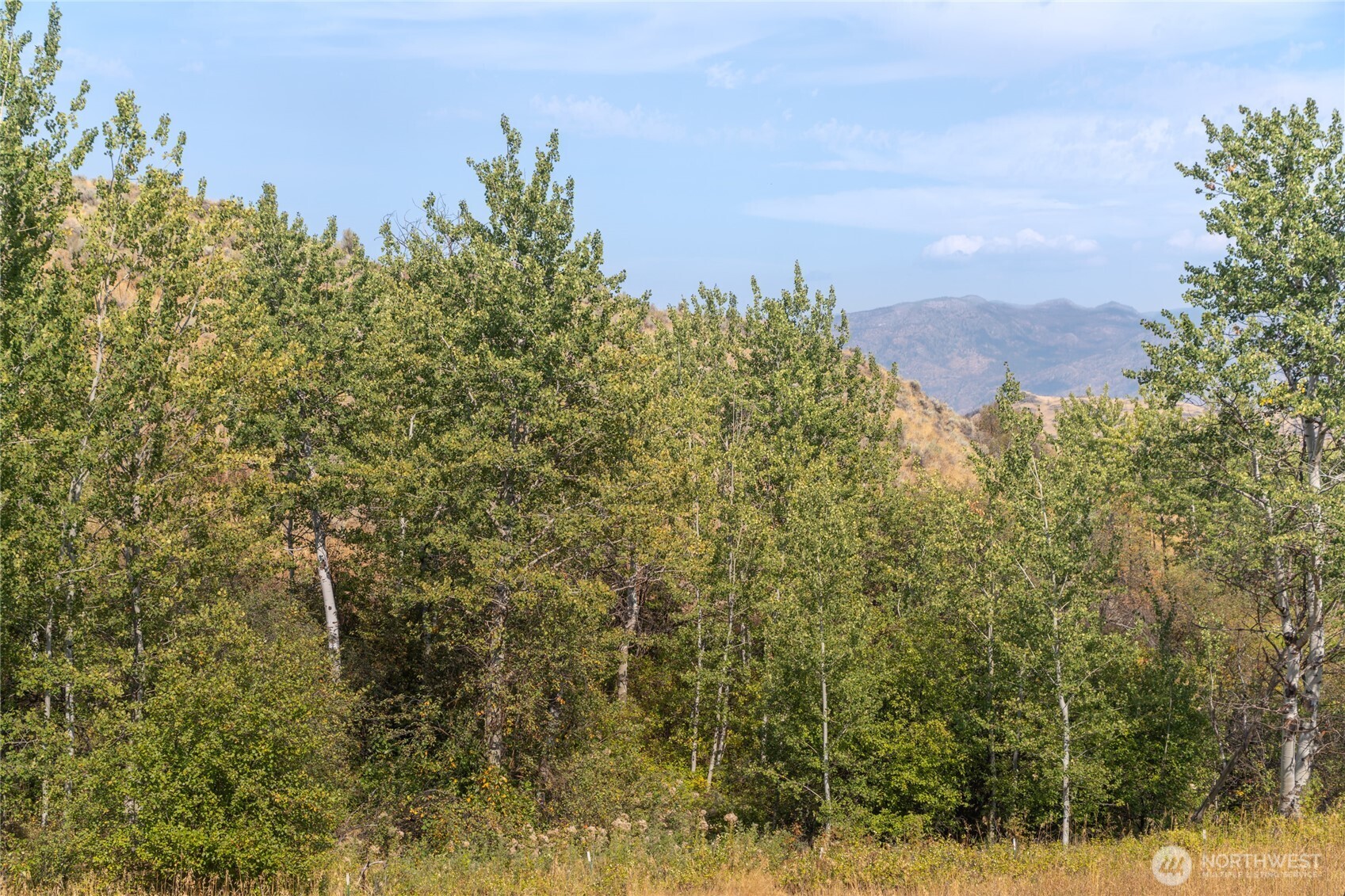 653 B Ellemeham Mtn. Road , Oroville, WA 98844