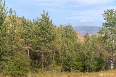 653 B Ellemeham Mtn. Road , Oroville, WA 98844 - Photo 19