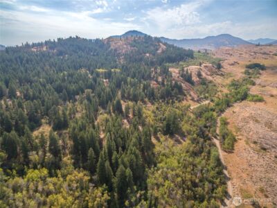 653 B Ellemeham Mtn. Road , Oroville, WA 98844 - Photo 31