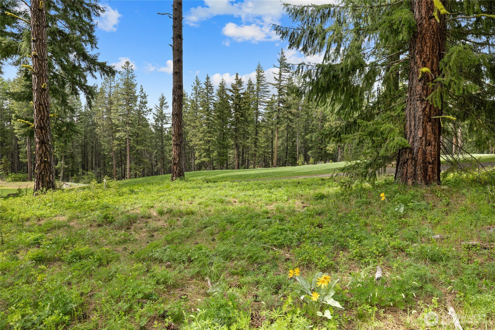 261 Maple Leaf Loop , Cle Elum, WA 98922
