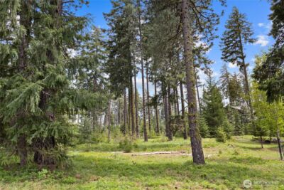 261 Maple Leaf Loop , Cle Elum, WA 98922 - Photo 13