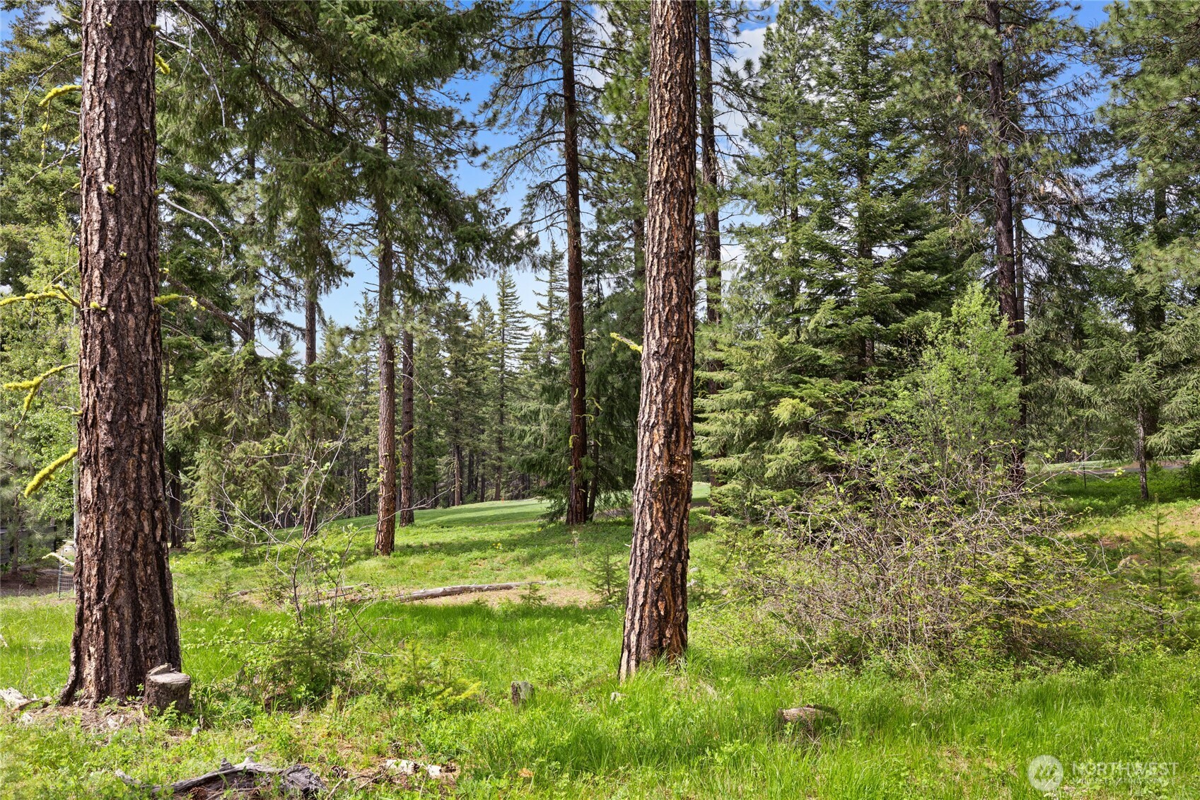 261 Maple Leaf Loop , Cle Elum, WA 98922