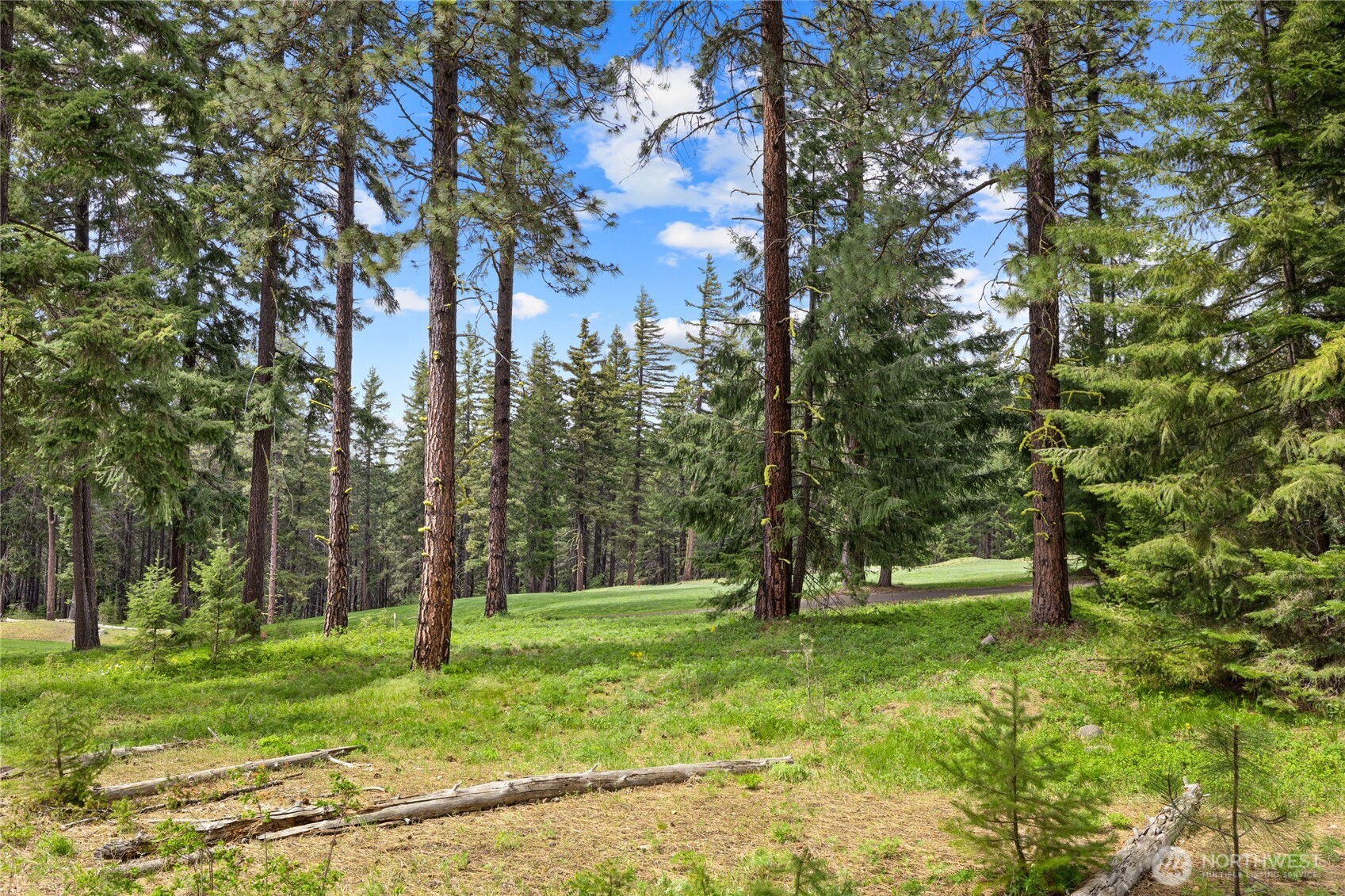 261 Maple Leaf Loop , Cle Elum, WA 98922