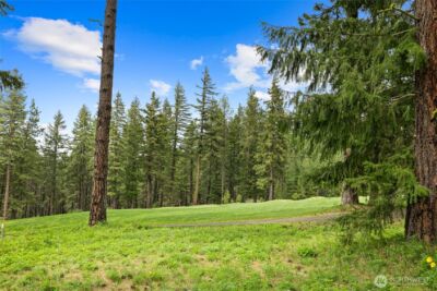 261 Maple Leaf Loop , Cle Elum, WA 98922 - Photo 10