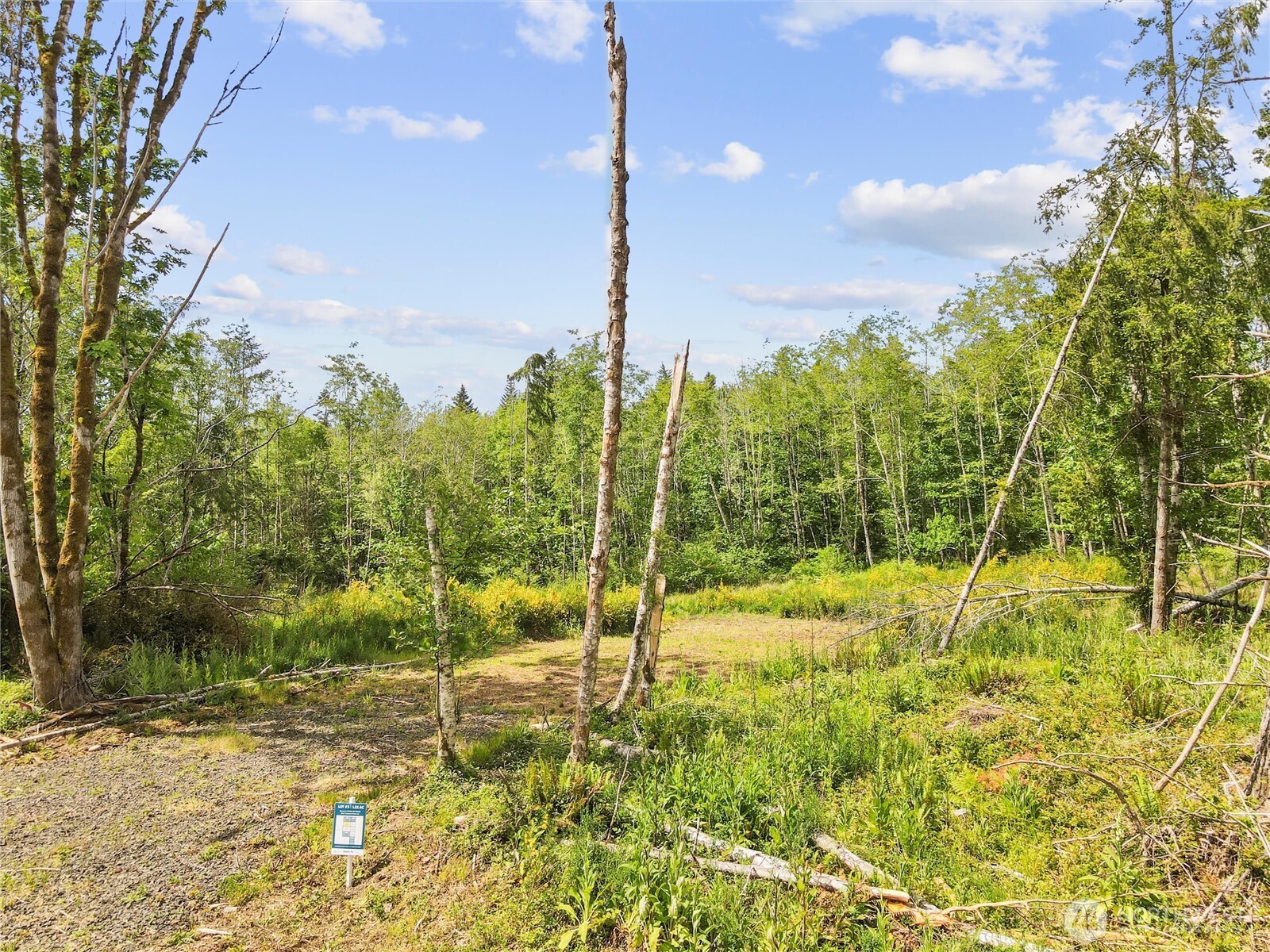 80 E Cascara Cove Lane , Shelton, WA 98584
