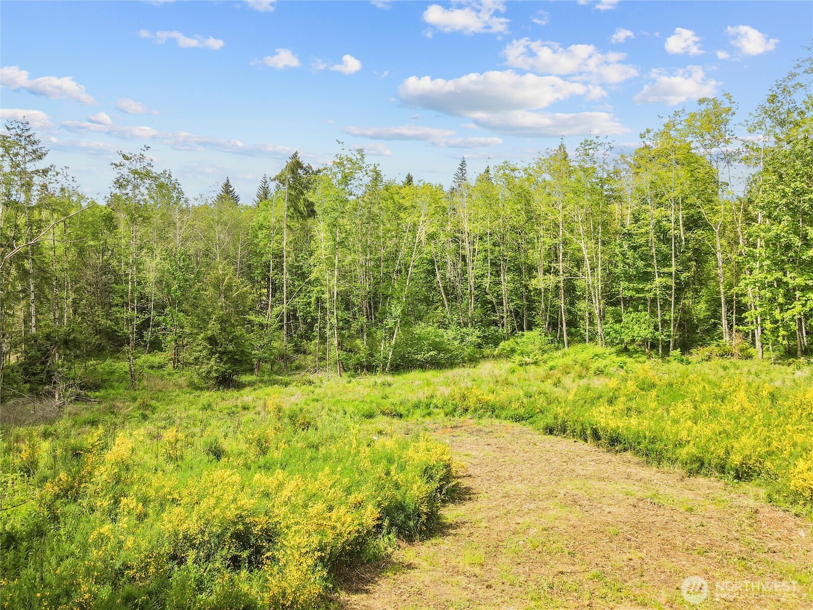 80 E Cascara Cove Lane , Shelton, WA 98584