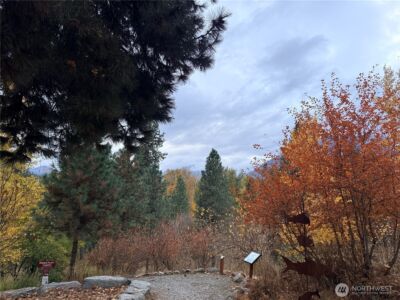 525 Alpine Place #G3, Leavenworth, WA 98826 - Photo 23