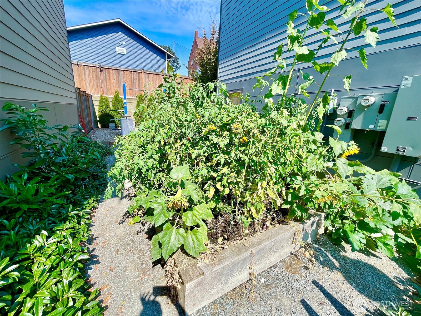 4910 S Willow Street #B, Seattle, WA 98118