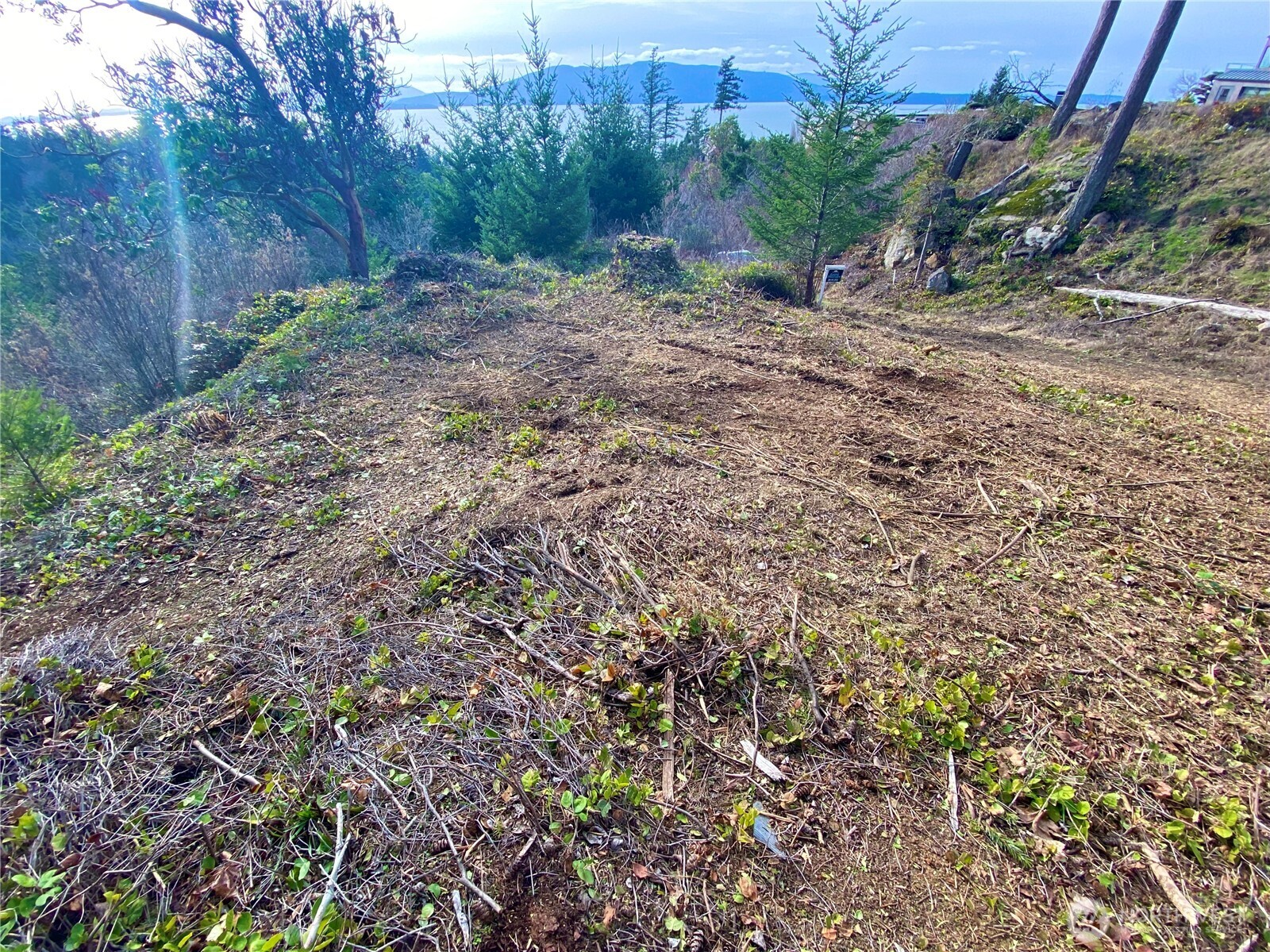 417 Arbutus Place , Bellingham, WA 98225