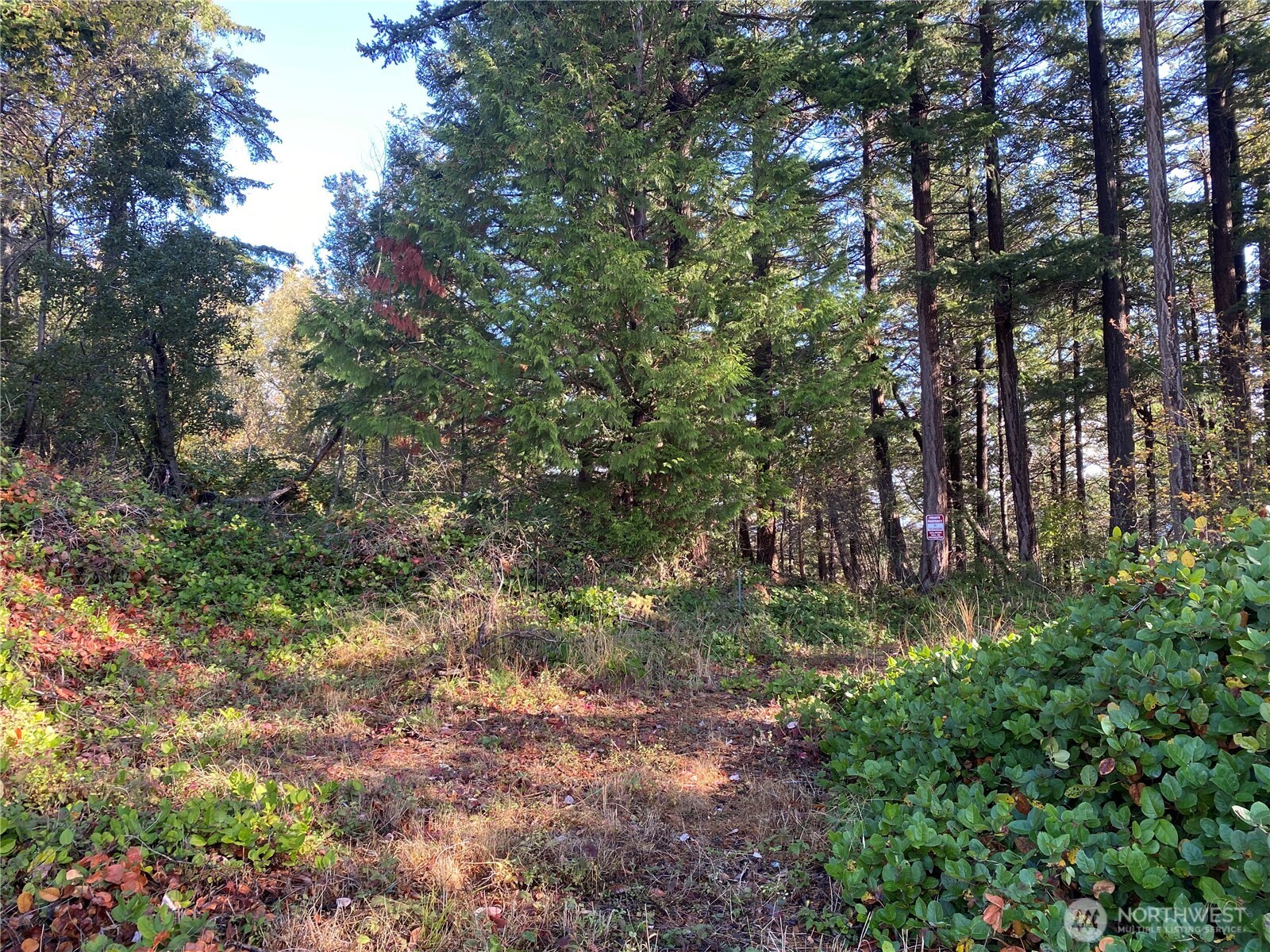 417 Arbutus Place , Bellingham, WA 98225