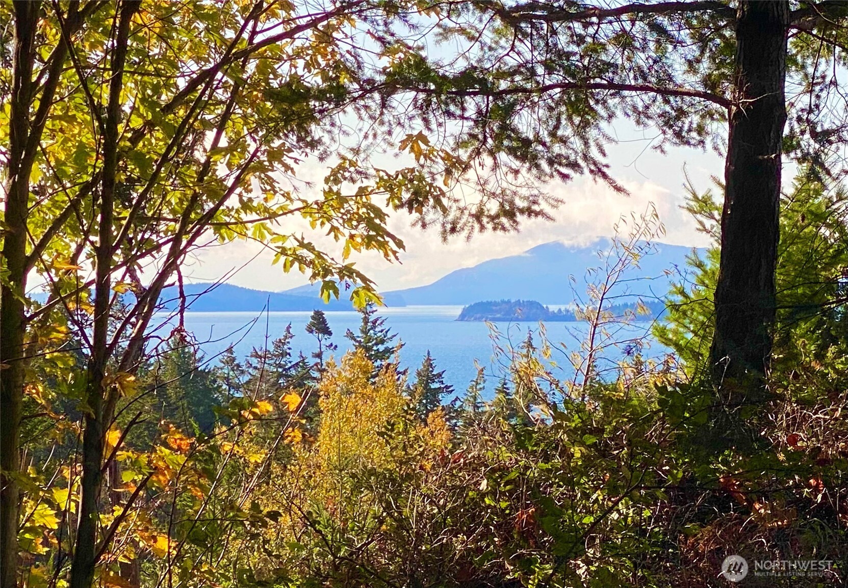 417 Arbutus Place , Bellingham, WA 98225