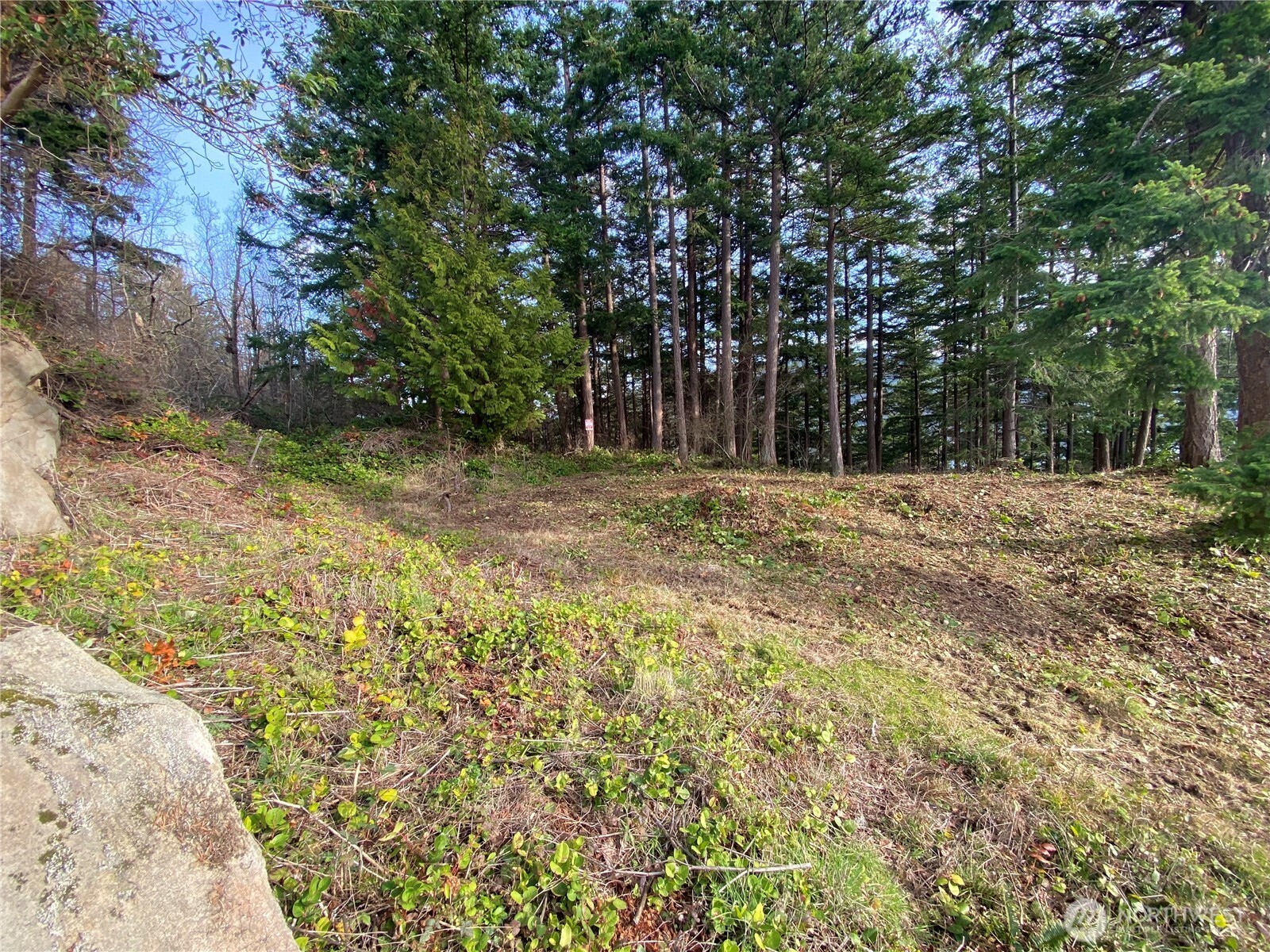 417 Arbutus Place , Bellingham, WA 98225