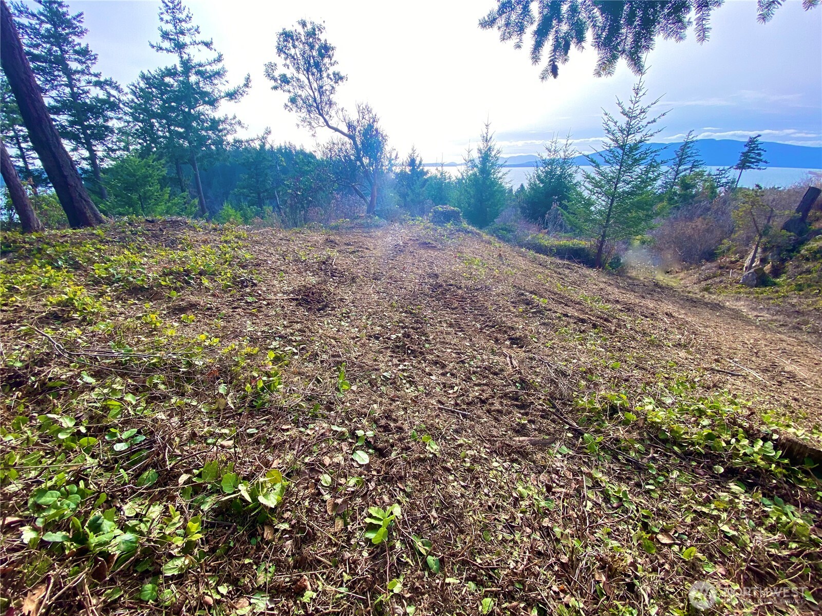 417 Arbutus Place , Bellingham, WA 98225