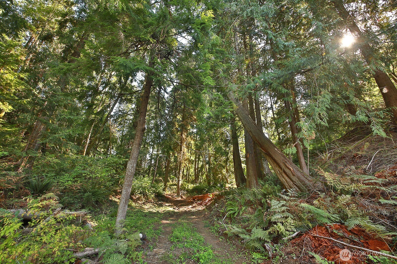 4935 Helppie Lane , Freeland, WA 98249
