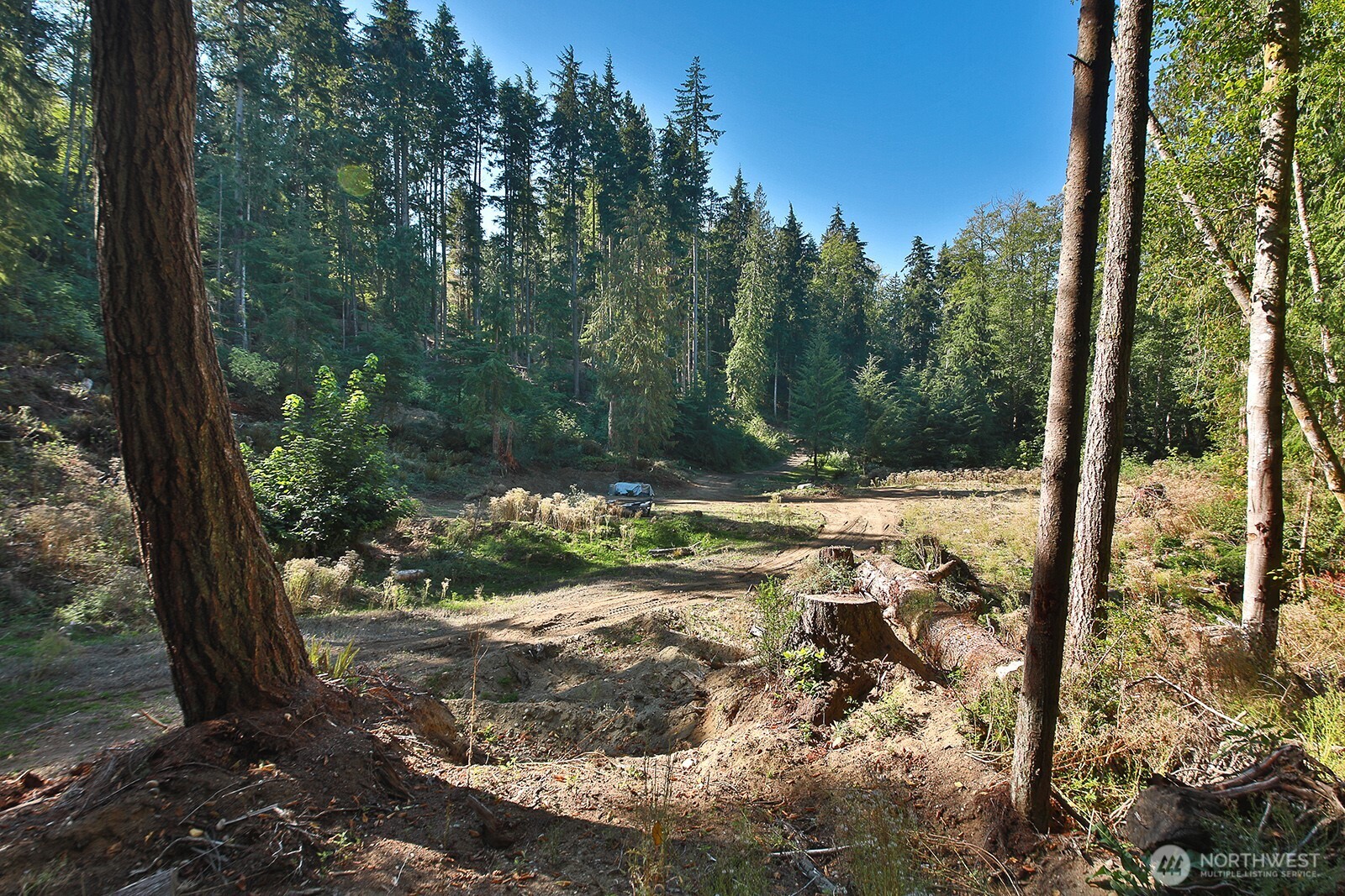 4935 Helppie Lane , Freeland, WA 98249
