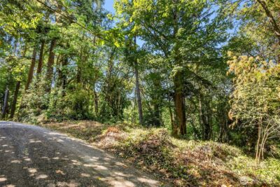 0 Sunrise Drive NE, Bainbridge Island, WA 98110 - Photo 4