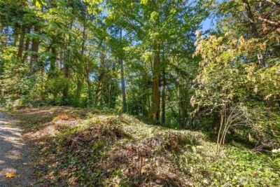 0 Sunrise Drive NE, Bainbridge Island, WA 98110 - Photo 5