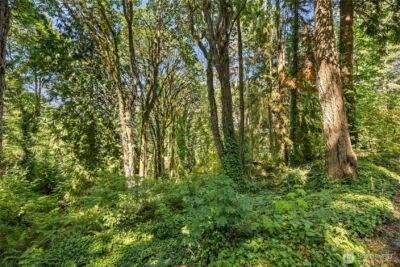 0 Sunrise Drive NE, Bainbridge Island, WA 98110 - Photo 8