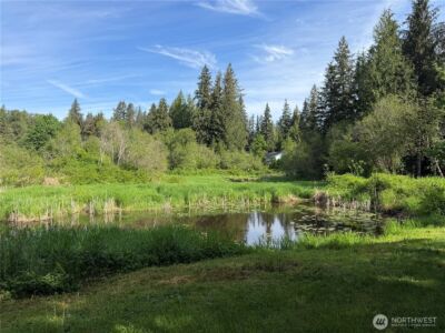 15607 NE Kelly Road , Duvall, WA 98019 - Photo 4