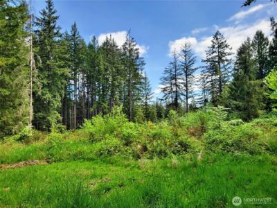 213 Sommerville Road , Chehalis, WA 98532 - Photo 2