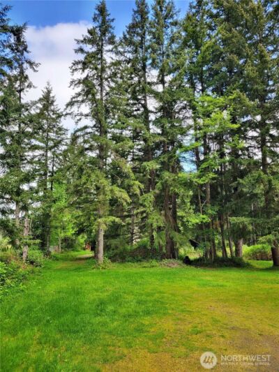 213 Sommerville Road , Chehalis, WA 98532 - Photo 23
