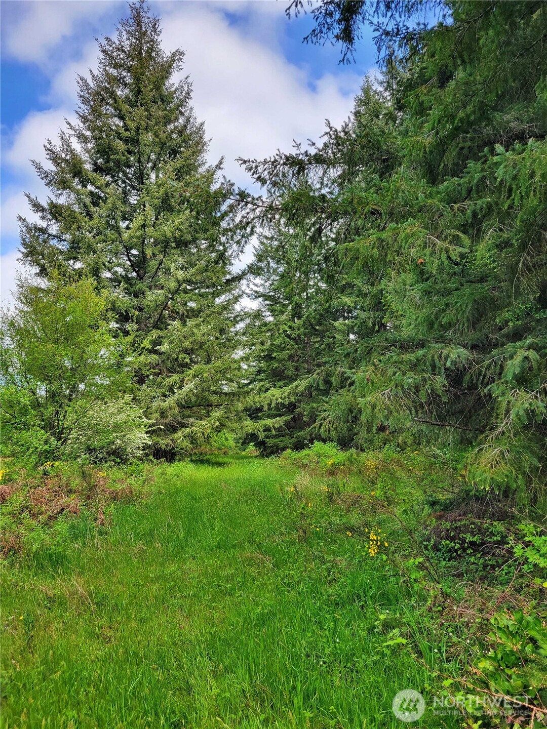 213 Sommerville Road , Chehalis, WA 98532