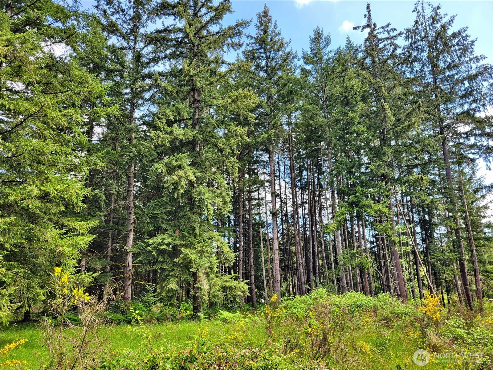 213 Sommerville Road , Chehalis, WA 98532
