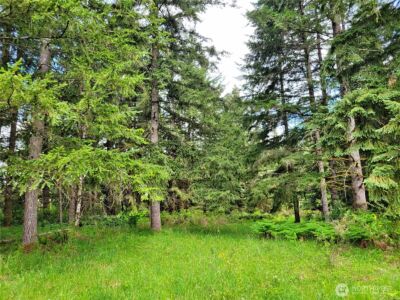 213 Sommerville Road , Chehalis, WA 98532 - Photo 28