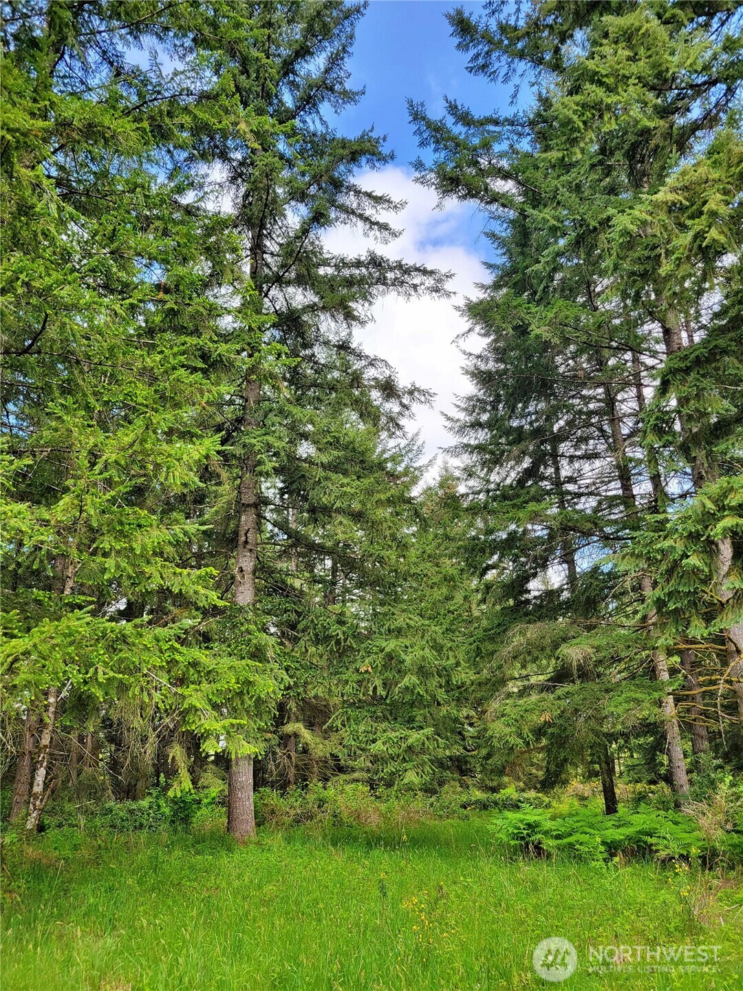 213 Sommerville Road , Chehalis, WA 98532