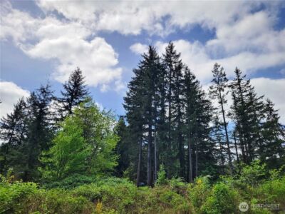 213 Sommerville Road , Chehalis, WA 98532 - Photo 30