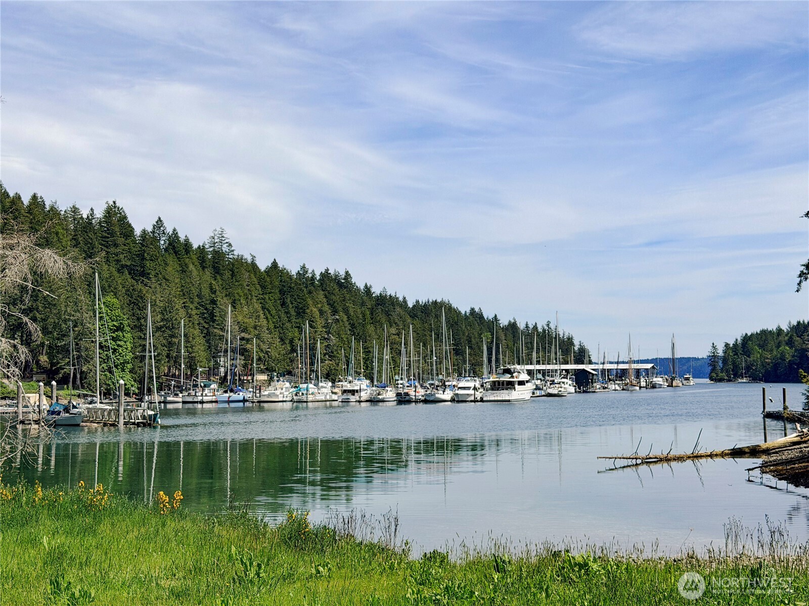 50 Dogwood Lane , Brinnon, WA 98320