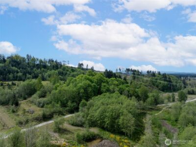 2737 Equus Ridge Lane SW, Tenino, WA 98589 - Photo 14