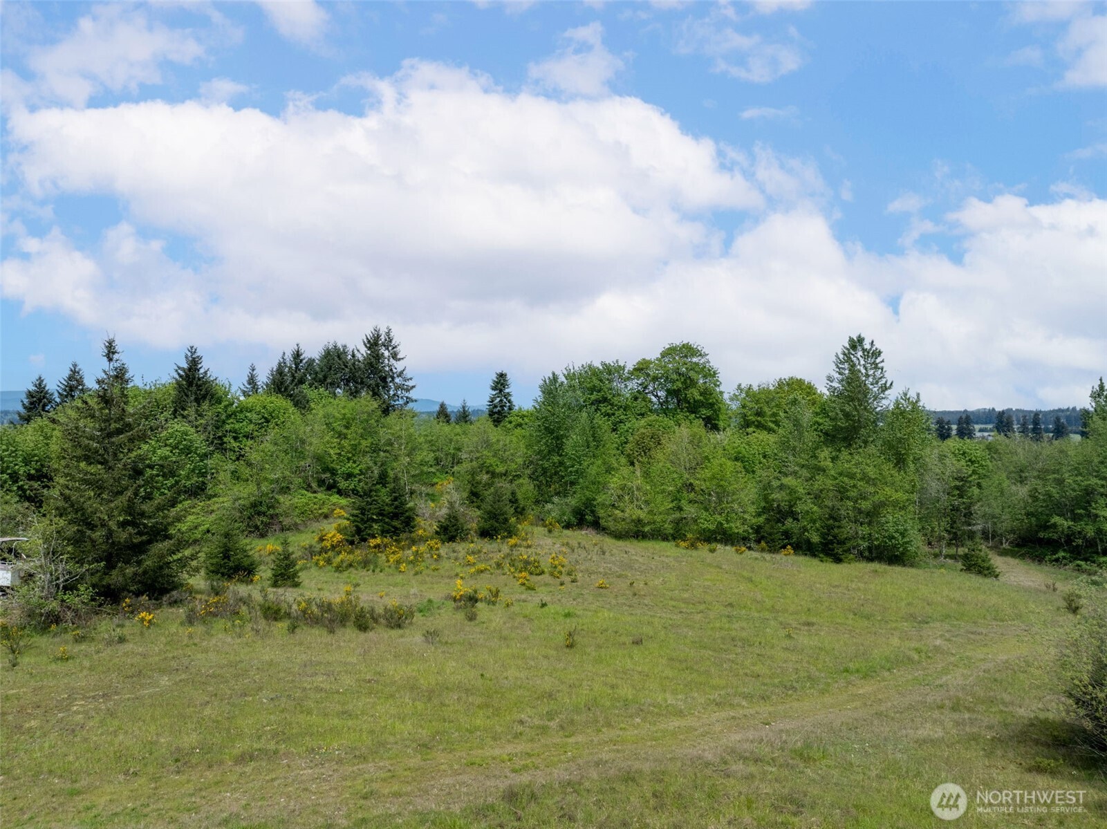 2737 Equus Ridge Lane SW, Tenino, WA 98589