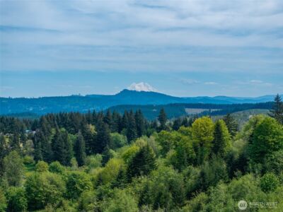 2737 Equus Ridge Lane SW, Tenino, WA 98589 - Photo 23