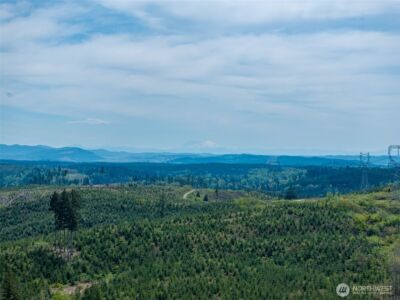 2737 Equus Ridge Lane SW, Tenino, WA 98589 - Photo 24