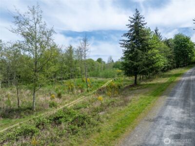 2737 Equus Ridge Lane SW, Tenino, WA 98589 - Photo 28