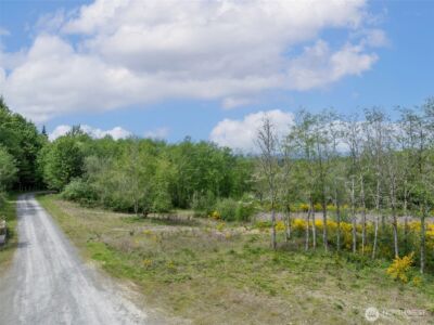 2737 Equus Ridge Lane SW, Tenino, WA 98589 - Photo 29