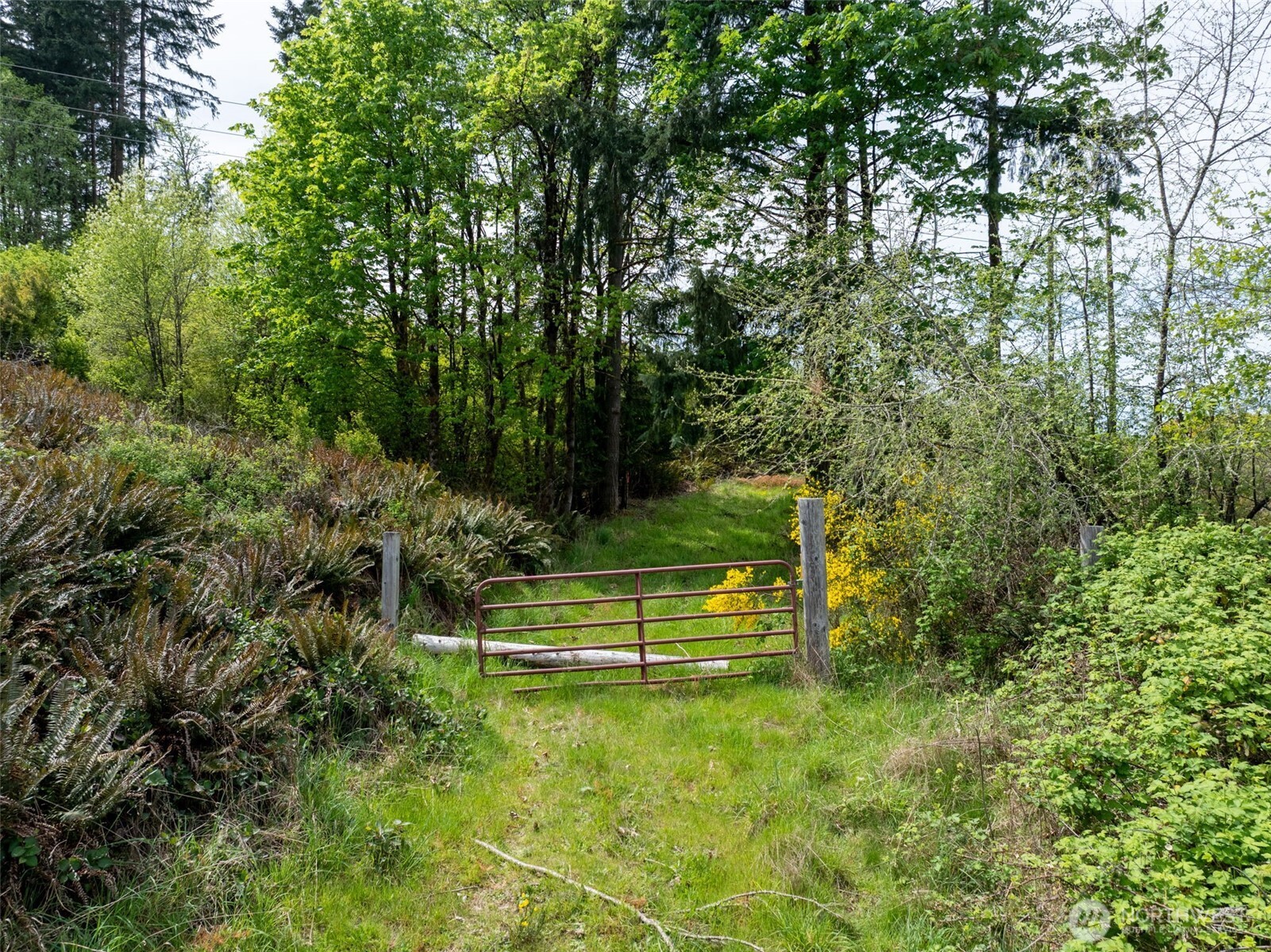 2737 Equus Ridge Lane SW, Tenino, WA 98589