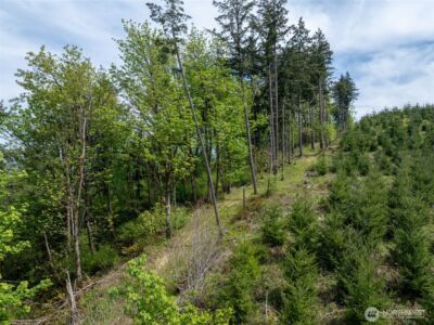 2737 Equus Ridge Lane SW, Tenino, WA 98589 - Photo 35